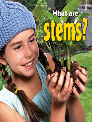 cover image of What are stems?
